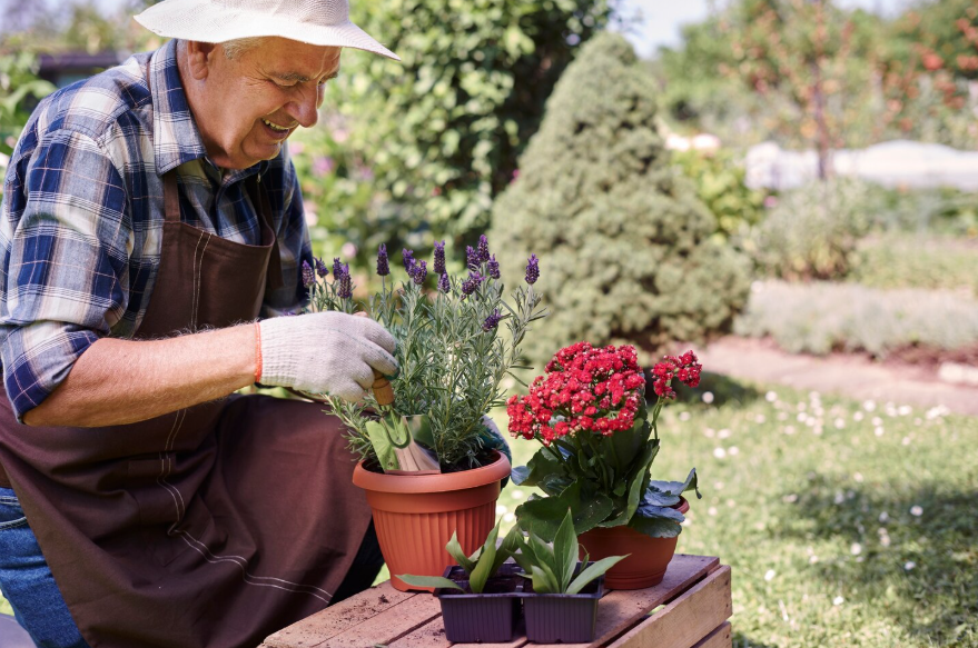 Older adult gardening outdoors showing hobbies to start later in life